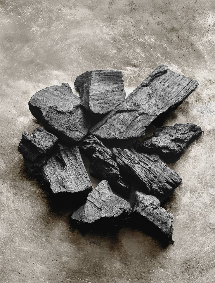 LE CHARBON VÉGÉTAL